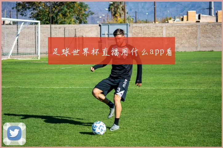 足球世界杯直播用什么app看
