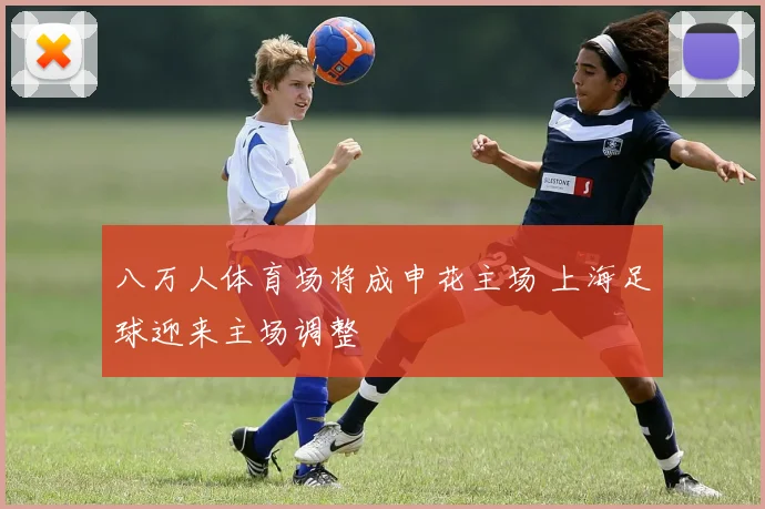 八万人体育场将成申花主场 上海足球迎来主场调整