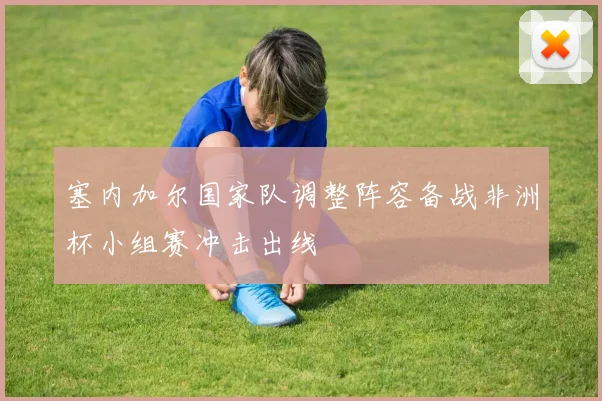 塞内加尔国家队调整阵容备战非洲杯小组赛冲击出线