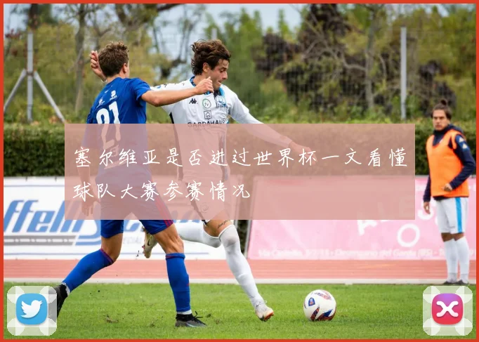 塞尔维亚是否进过世界杯一文看懂球队大赛参赛情况