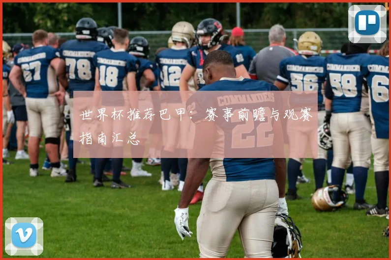 世界杯推荐巴甲:赛事前瞻与观赛指南汇总