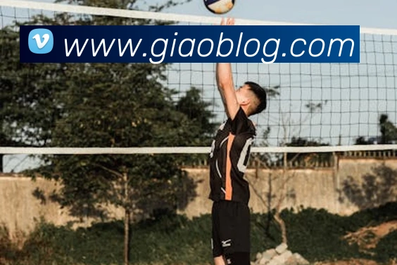 ayx爱游官方网站APP 体育赛事宣传图